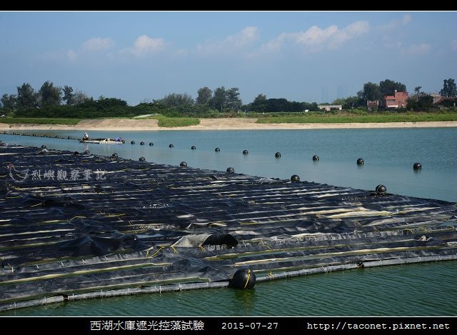 西湖水庫遮光控藻試驗_08.jpg