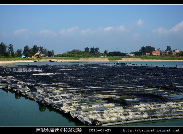 西湖水庫遮光控藻試驗_07.jpg
