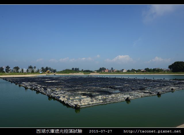 西湖水庫遮光控藻試驗_06.jpg