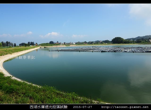 西湖水庫遮光控藻試驗_05.jpg