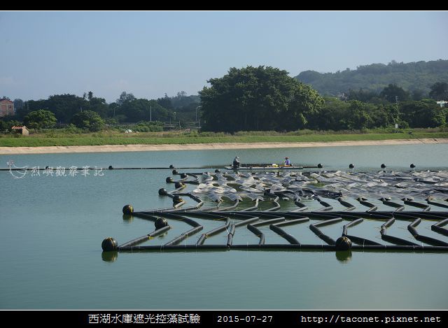西湖水庫遮光控藻試驗_04.jpg