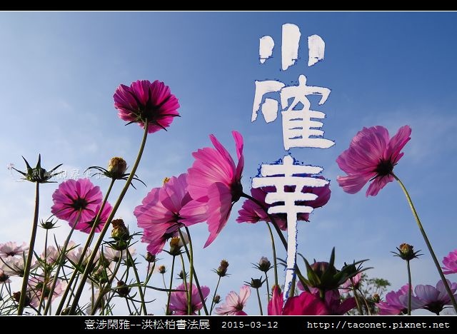 意涉閑雅-洪松柏書法展-58.jpg