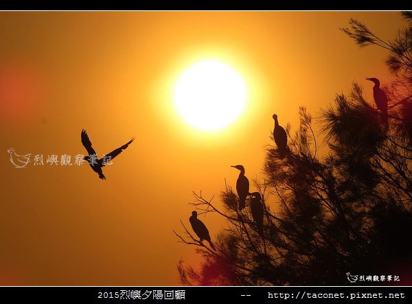 2015l烈嶼夕陽回顧_141.jpg