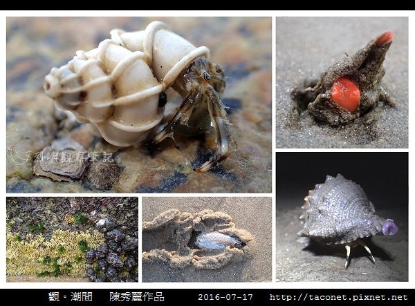 陳秀麗作品-13.jpg