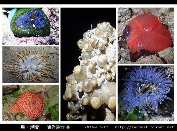 陳秀麗作品-09.jpg