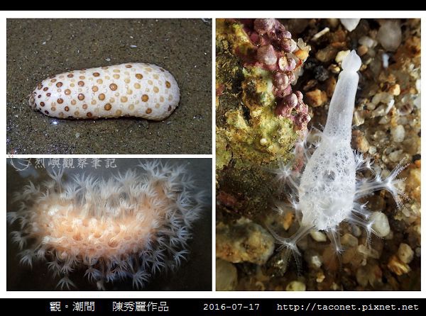 陳秀麗作品-06.jpg