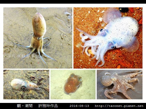 雅玲作品_08.jpg