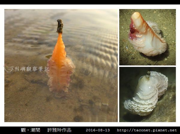 雅玲作品_05.jpg
