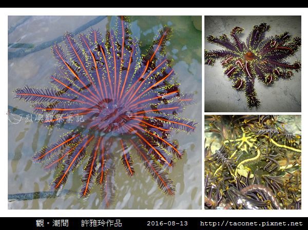 雅玲作品_03.jpg