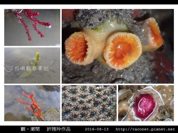 雅玲作品_01.jpg