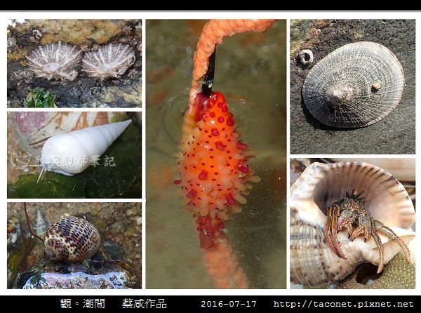 蔡咸作品-14.jpg