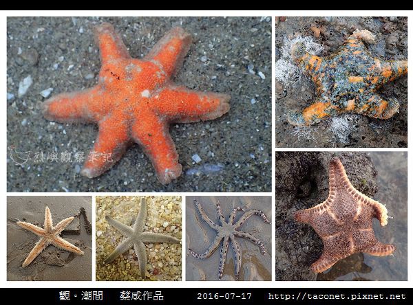 蔡咸作品-05.jpg