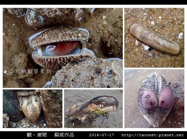 蔡咸作品-03.jpg