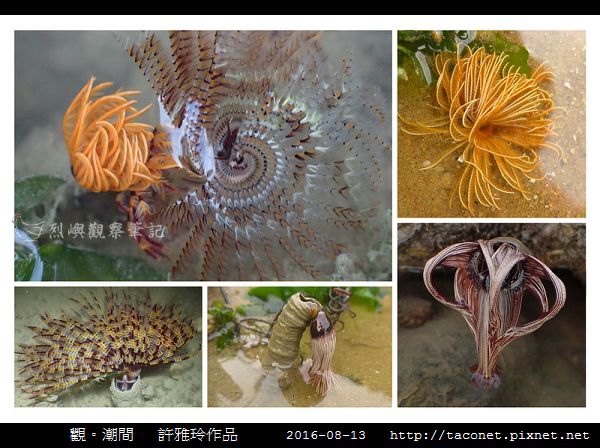 雅玲作品_15.jpg