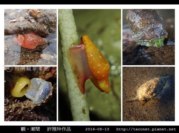雅玲作品_13.jpg