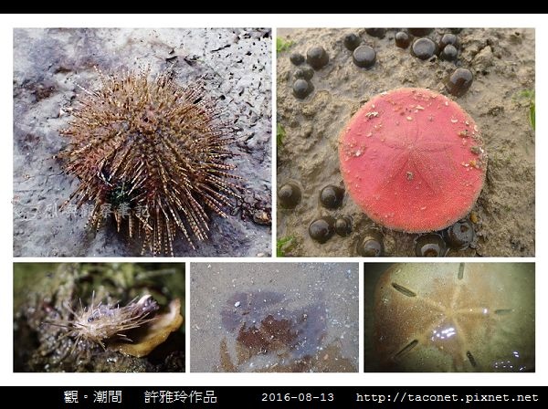 雅玲作品_07.jpg