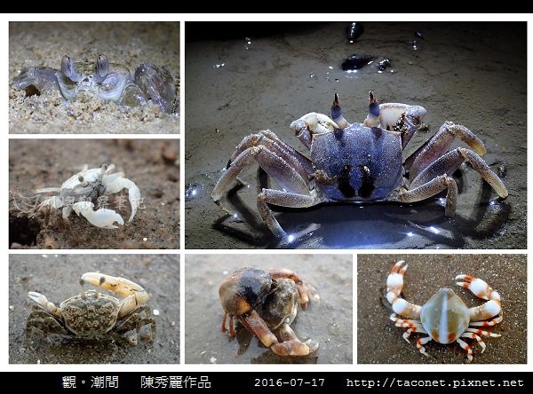 陳秀麗作品-15.jpg
