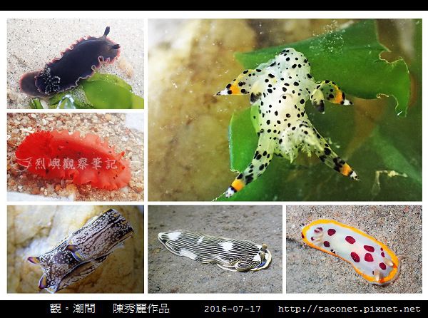 陳秀麗作品-08.jpg