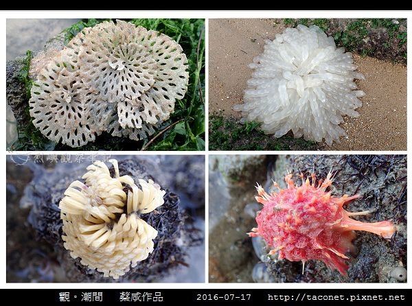 蔡咸作品-11.jpg