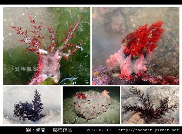蔡咸作品-06.jpg