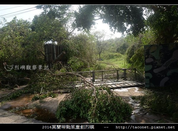 2016莫蘭蒂颱風肆虐後的烈嶼_123.jpg
