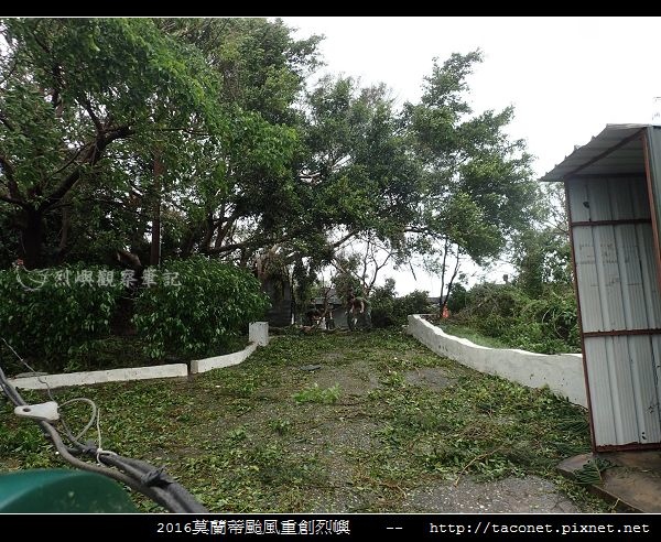 2016莫蘭蒂颱風肆虐後的烈嶼_119.jpg
