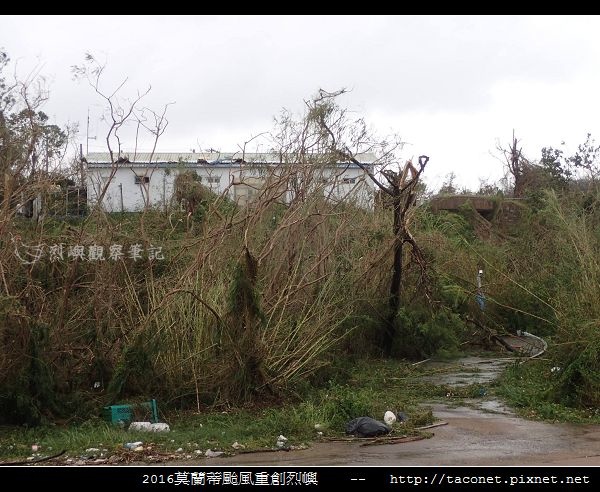 2016莫蘭蒂颱風肆虐後的烈嶼_114.jpg