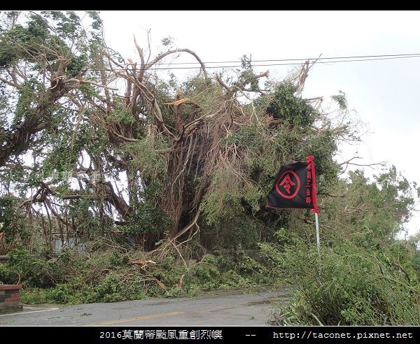 2016莫蘭蒂颱風肆虐後的烈嶼_111.jpg