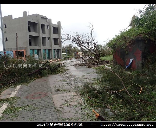2016莫蘭蒂颱風肆虐後的烈嶼_106.jpg