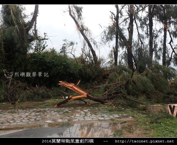 2016莫蘭蒂颱風肆虐後的烈嶼_104.jpg