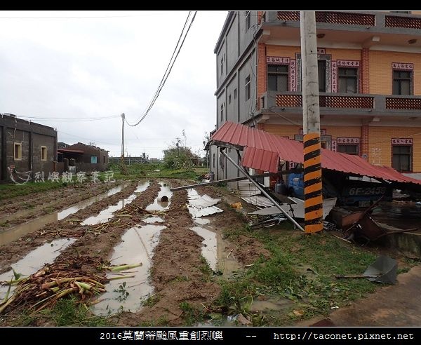 2016莫蘭蒂颱風肆虐後的烈嶼_098.jpg