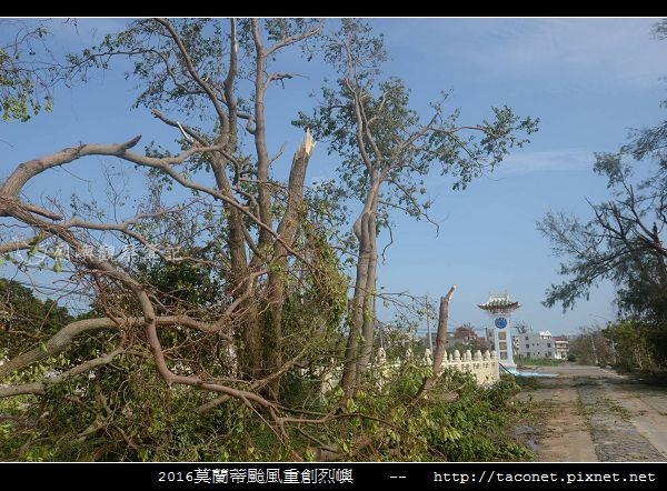 2016莫蘭蒂颱風肆虐後的烈嶼_129.jpg