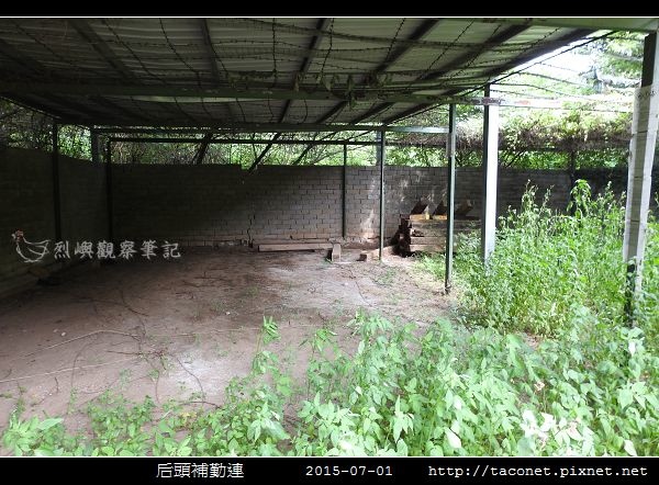 后頭補勤連_49.jpg