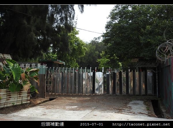 后頭補勤連_31.jpg