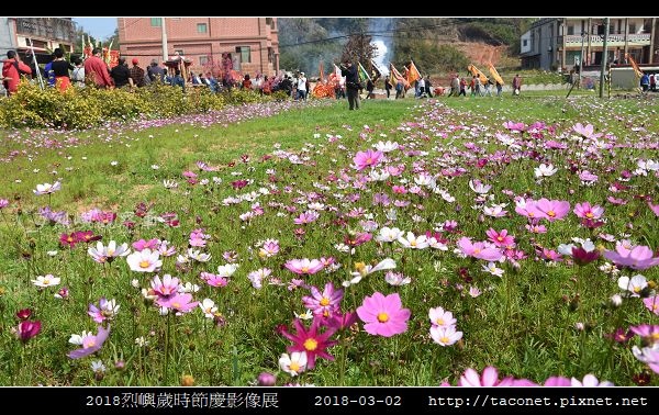 陳建雄-神遊花間.jpg