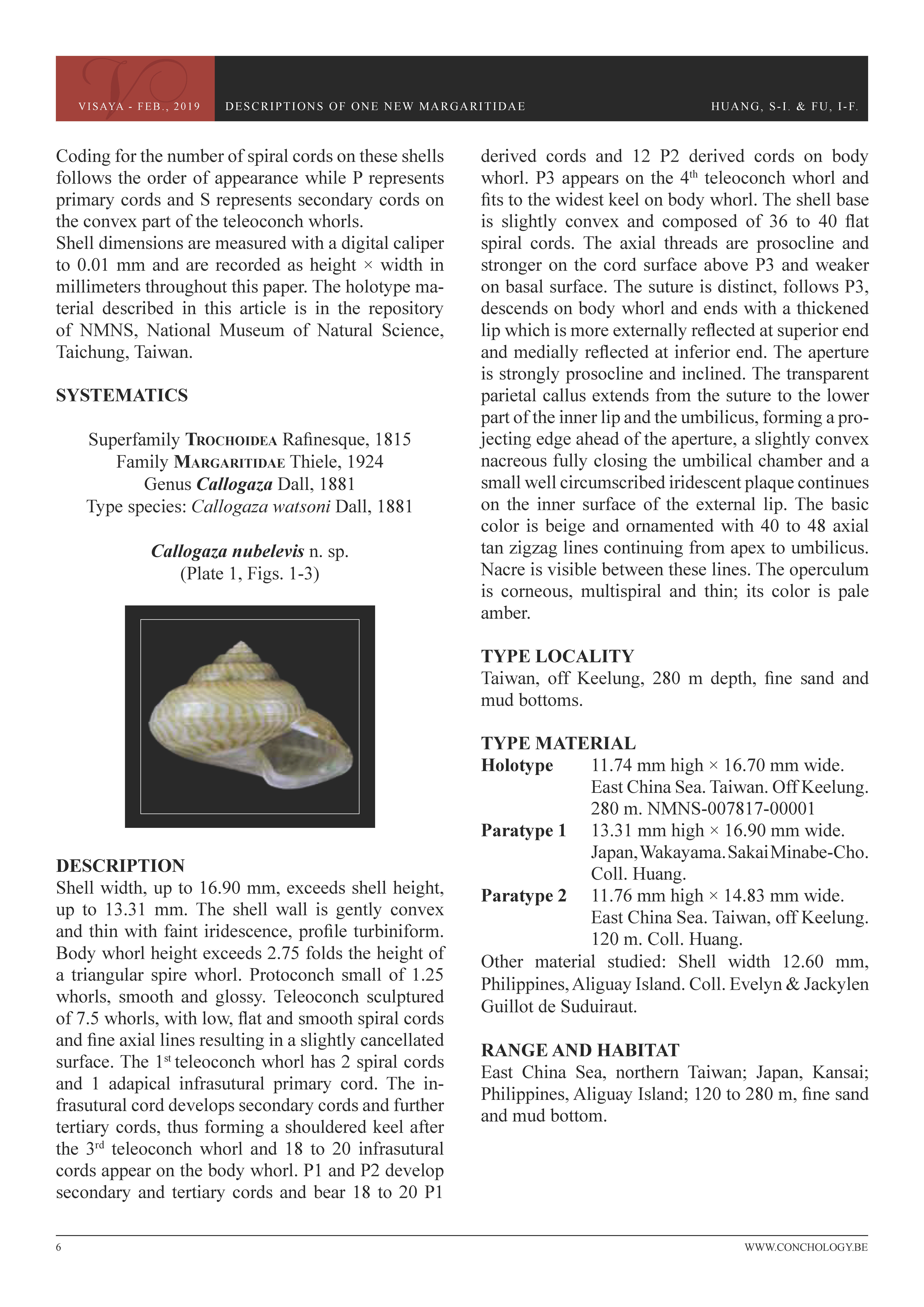01- Huang & Fu- Margaritidae and Calliostomatidae_頁面_02.jpg
