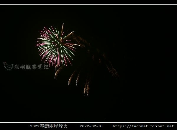 2022春節兩岸煙火_02.jpg