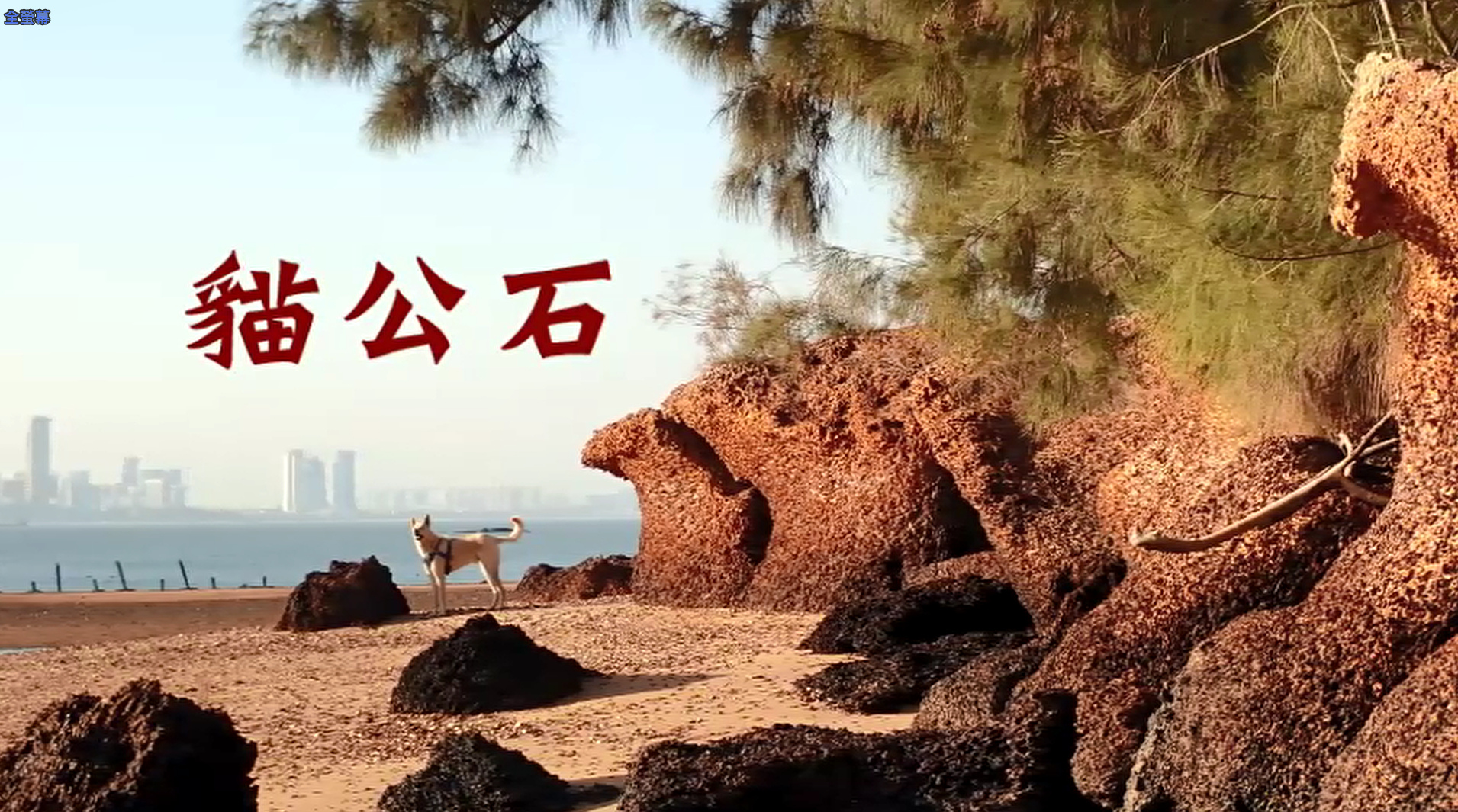 貓公石.jpg