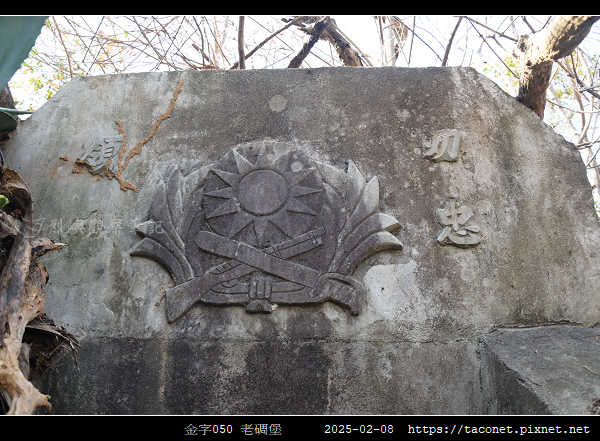金字050_01.jpg