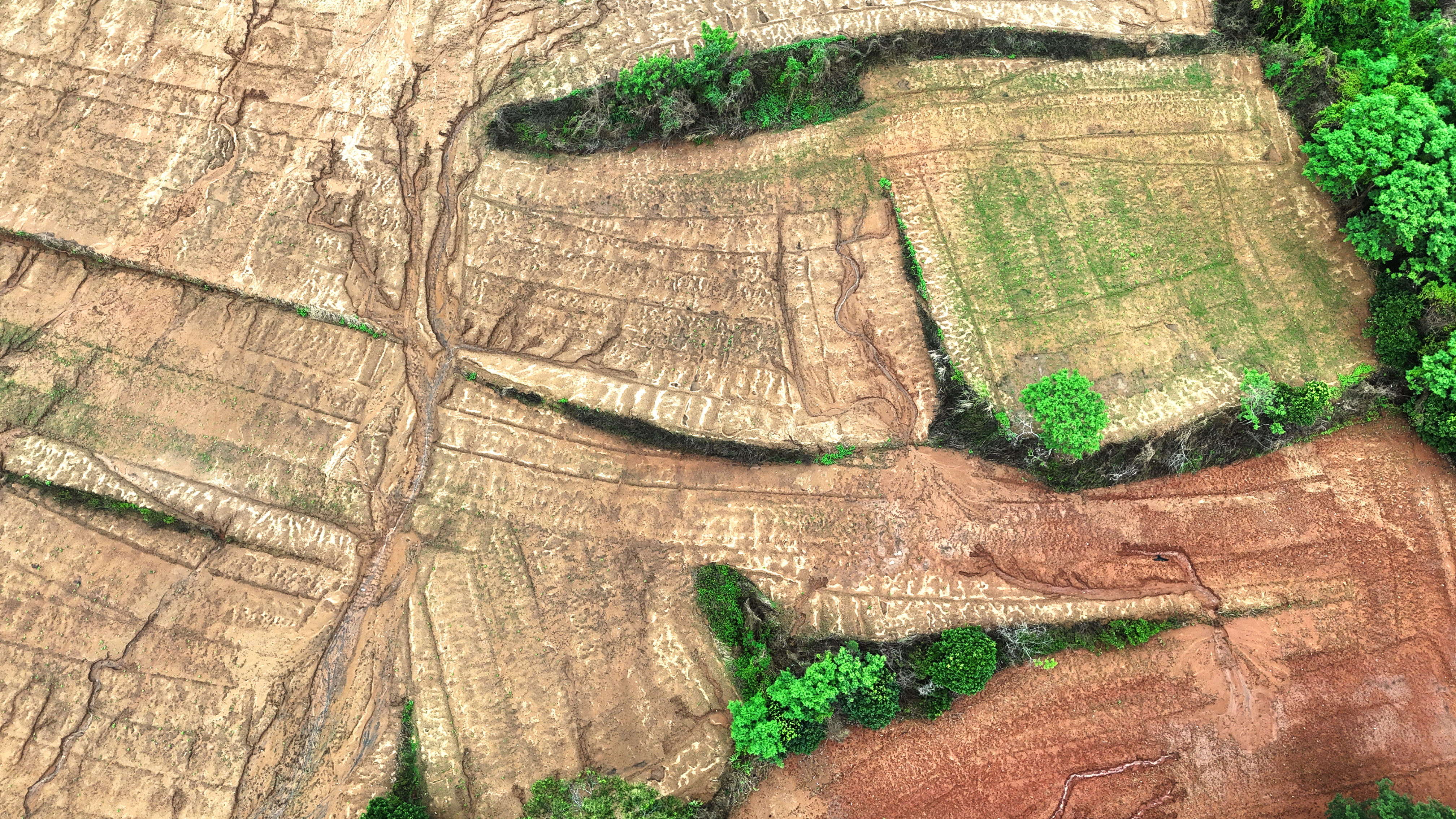 DJI_20250712145854_0220_D.jpg